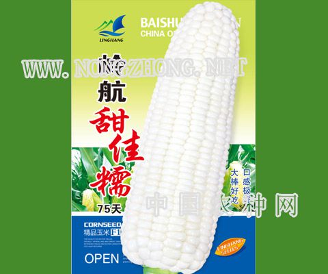 岭航甜佳糯